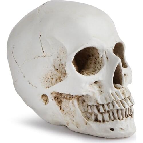 New 1:1 Medical Skull Model Teaching Sketch Anatomy Resin Crafts Home Decoration Statue Sculpture Halloween Gift Wholesale 2021