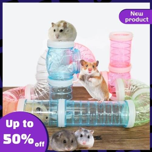 Shujie Rodent Tunnels
