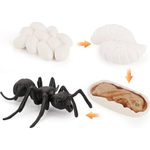 4/5PCS Simulation Animals Life Cycle Animal Figurines Chicken Frog Sea Ant Set Figures Turtle Toys Cycle Model Growth Mosqu A8C0