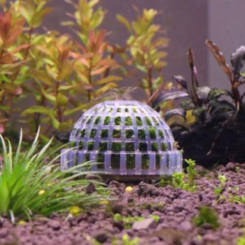 Natural Mineral Aquatic Bio Moss Ball Filter Mineral Balls Aquarium Crystal Red Shrimp House Fish Tank Decoration Supplies