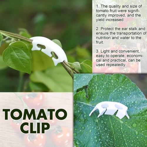 50pcs Plastic plant clips anti-bending tomatoes Branch fruit Vine Fixing Supporting Connects garden Upright Grow Plant Stem R1V9