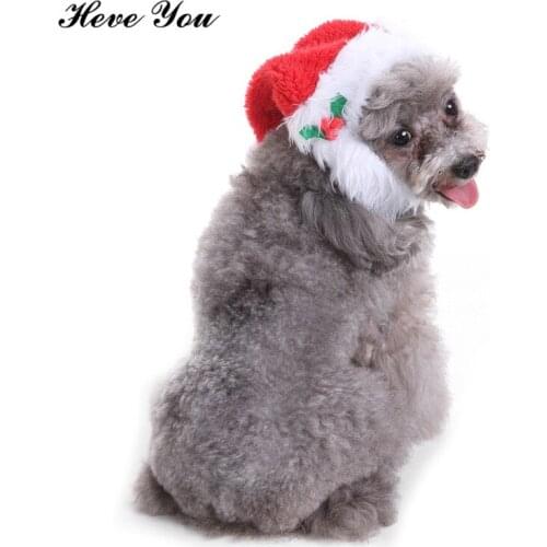 Heve You Caps Let the Pet Dog Hat Christmas Dog Clothing Decorative Pets Accessories Puppy Kitten Chihuahua Cats Festival Hats