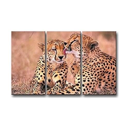 3 pieces framed Wall Art Picture Gift Home Decoration Canvas Print painting Animal series - leopard wholesale