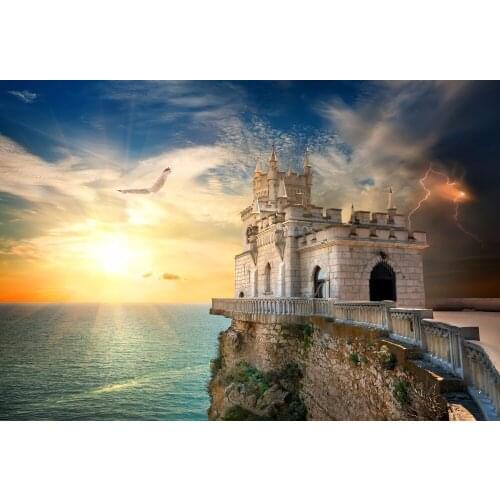 VinylBDS High Quality Photography Beach Sunset Glow For Children Background Seagull No Wrinkles Foto Background