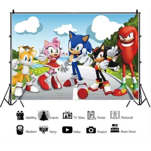 Cute Fox Hedgehog Cartoon Theme Children Birthday Party Backdrop Decoration Wallpaper Photo Studio Prop Photography Background