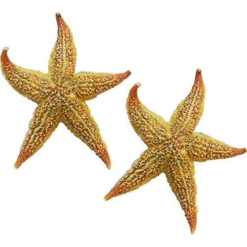 2Pcs Starfish Estrellas De Mar Estrela Do Mar Star Fish Natural Dried Starfish Sea Star Beach Craft Wedding Party Home Decor
