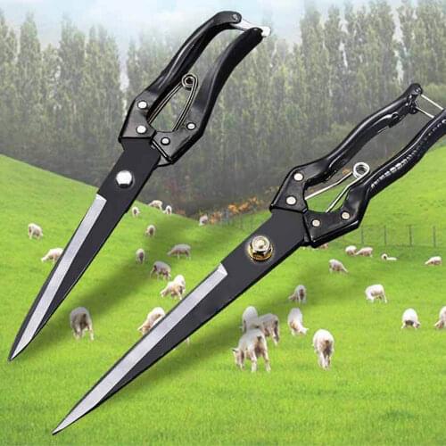 BOSEAN Products For Farm Animals