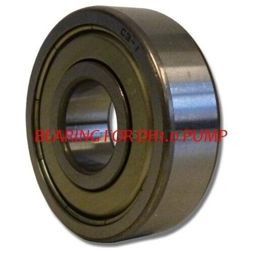 LX DH1.0 and WTC50 pump bearing reference: 6202rs
