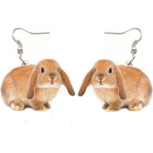 Acrylic Fashion Women Ladies Girl Jewelry Dangle Earrings Cute Brown Rabbit Pendant Big Drop Earring Lady Party Gift
