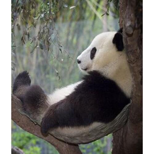 Товары для скалолазания и альпинизма East Floral Park China At AliExpress