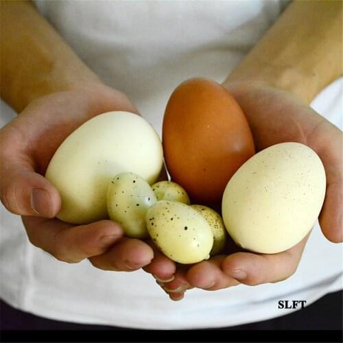 Store shop decoration display props artificial simulation fake dinosaur ostrich goose duck chicken quail pigeon eggs model toys