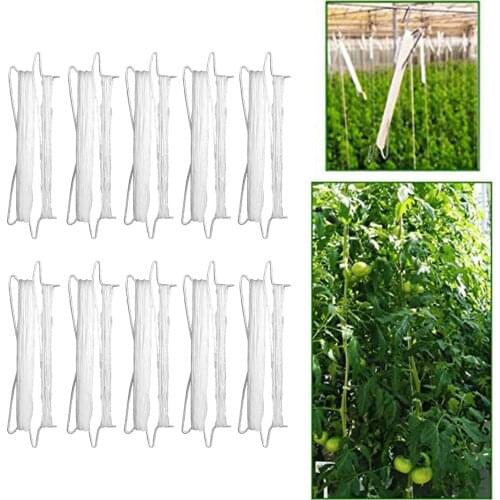 10Tomato Hook Tomato Support Clips Vegetable Support Garden Tomato Hooks Vegetable Support Hook Prevent Tomatoe from Pinching