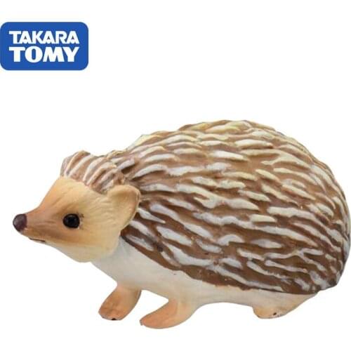 TAKARA TOMY Simulation Wild Animal Model Minifiguras Hedgehog Educational Toys Minifiguras Decorative Ornaments Birthday Present