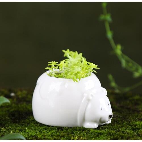 ZIZI FISH Flower Pots