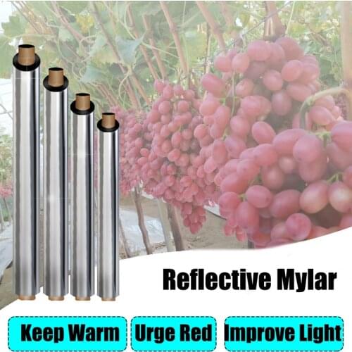 Agriculture Aluminum Plated Film Greenhouse Reflective Mylar Outdoor Fruit Apple Grape Grow Care Mature Speed Up Mat