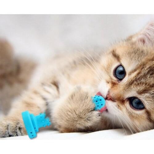 Cat cactus Toothbrush Catnip Toy Bite Clean Tooth Stick Funny Cat Toy Pet Tooth Brush Silicone Molar Stick chewable Cleaning Toy