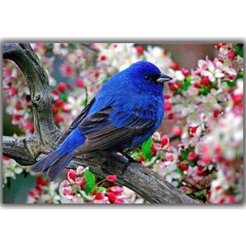 Peter ren Diamond painting cross stitch Diy Diamond Embroidery 3d square Diamond Mosaic full image Flowers and indigo bird