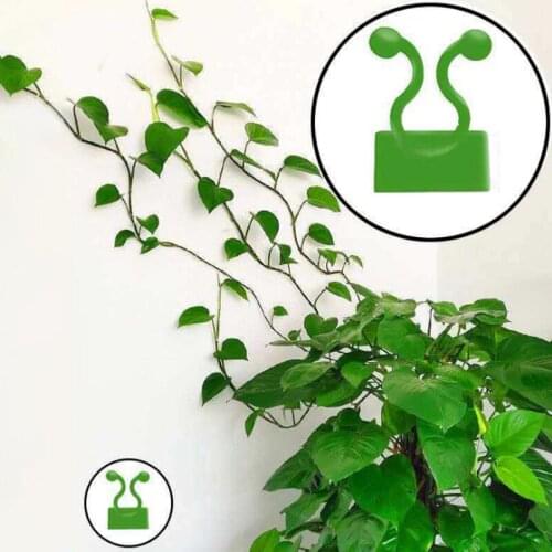 Plant Climbing Wall Self-Adhesive Fastener Tied Fixture Vine Buckle Hook Garden Plant Wall Climbing Vine Clips Fixed Buckle Hook