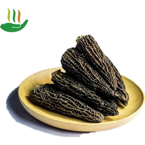 Dried Morel Mushrooms In Bulk Spice Jungle Dried Wild Morel Mushrooms