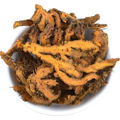 Rhizoma Coptidis Coptis Root High Quality Huang Lian Coptidis Rhizoma Goldthread