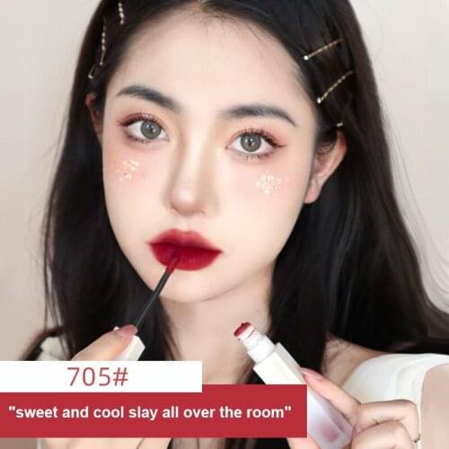 Gogo Tales Small White Tube Velvet Matte Lip Gloss Silky Glaze Long-lsating Waterproof Cheap Lipstick Set TSLM1