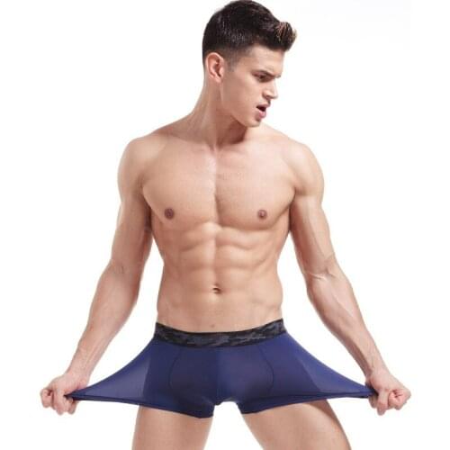 Mens Underwear Boxer Shorts Homme Thin Ice Silk Panties For Mens Boxers Breathable Pouch Underpants Male Penis Cueca Plus Size