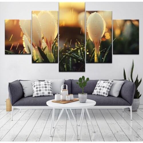 Transparent flower with rain sunshine 5 Piece HD Wallpapers Art Canvas Print modern Poster Modular art painting Home Decor