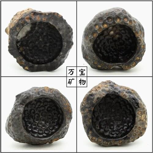 Cheap fidelity trumpet coral fossil stone ashtray cellular base inkstone more savory meat pots