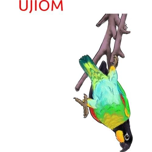 UJIOM Wall Stickersoh Orange-cheeked parrot Child Bedroom Decoration Sticker Accessories Wallpaper Room Home Decor Art Decal