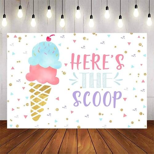 Ice Cream Birthday Backdrop Heres The Scoop Photo Background Girls Princess Birthday Party Decorations Cake Table Banner