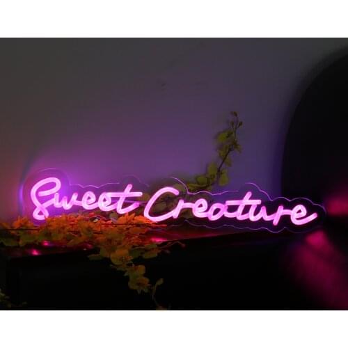 Custom neon monochrome/seven-color dazzling RGB light Sweet Creature style For Anniversary Gifts Party Wedding Decoration