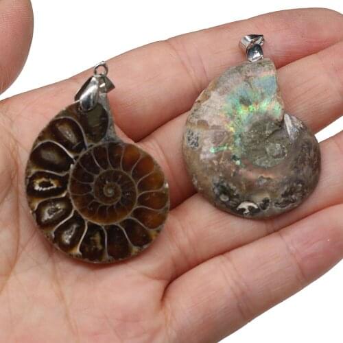 Natural Shell Conch Fossil Pendant DIY Retro Personality Punk Rock Necklace Sweater Chain Jewelry Accessories Gift Making