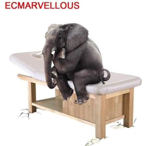 Tattoo Silla Masajeadora Furniture Beauty Cama Camilla Para Masaje Envio Gratis Tafel Table Salon Chair Folding Massage Bed