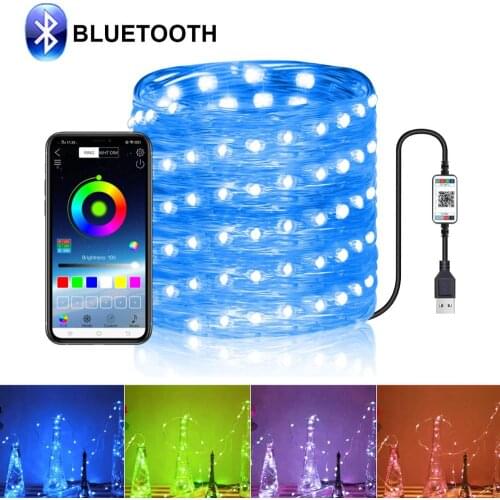 Copper Garland LED String Light usb rgb Festoon lamps outdoor Garden led tape for 2021 Bedroom Bluetooth Decoration
