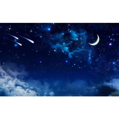 Mural Paintings Living Room Ceiling Wallpaper Beautiful night sky meteor ceiling mural
