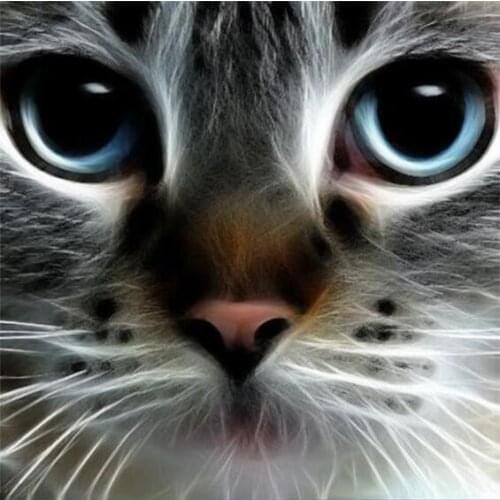 LIPHISFUN Full 5D Diy Daimond Painting Cross-stitch Cat Face Diamond Painting Rhinestones Paintings Embroidery Square/round