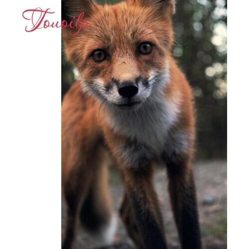 DIY diamond Embroidery animal fox 5D diamond painting of Cross stitch kit for living room Needlework set embroidery with diamond
