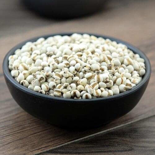 CoixSeed Semen Coicis Coix Lacrymajobi L. YiMi