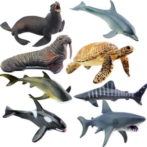 8 Models Optional Realistic Sea Animal Models Simulation Turtles, Sea Lions Walruse Action Figures Toy Children Recognition Toys