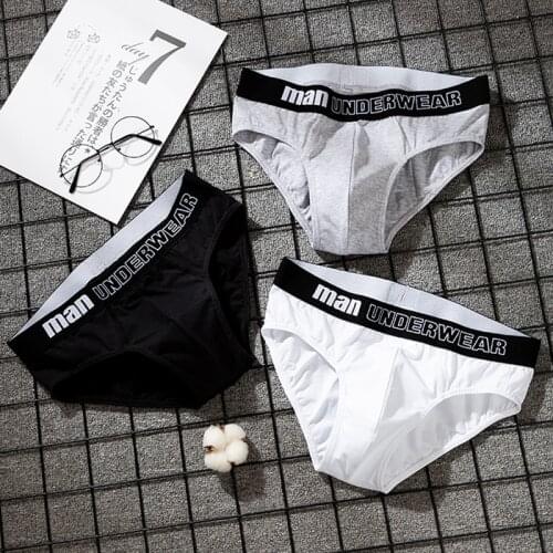 Mens Underwear Bikini Men Cotton Briefs Underpants Male Pure Panties Shorts Underwear Boxer Shorts Solid Cuecas Hombre Gay 365