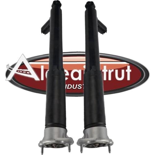 Pair Rear Suspension Gas Shock Absorbers For 2010-2016 Mercedes-Benz E-Class W212 RWD E200 E250 E300 E350 E400 E500 E550 New