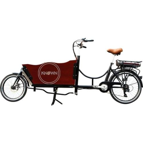 Popular Adult Cargo Bike 2 Wheel Electric Bicycle Cycling for Family Carrying Kids Children Shopping Cart