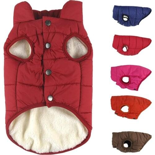 Cheap Dog Clothes For Small Dogs Medium Dogs Large Dogs Blue Dog Outfit For Pitbulls Winter Dog Jacket Dropship