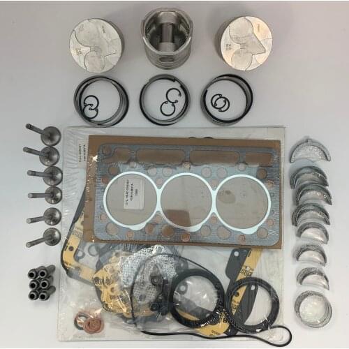 NEW KUBOTA D950 OVERHAUL KIT STANDART