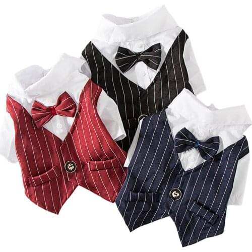 Gentleman Wedding Suit Pet Dog Cat Bowtie Tuxedo Teddy Small Dog Pet Photo Clothing
