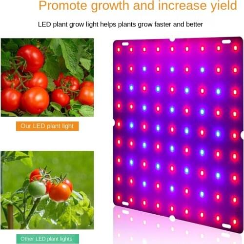 Фитолампы для растений HAWBOIRRY China At AliExpress