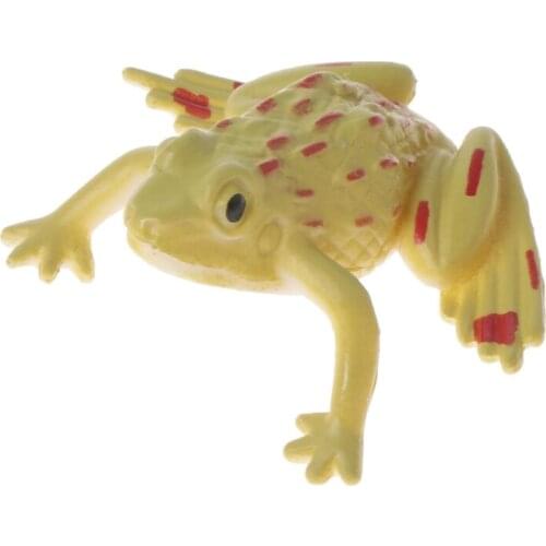 3D Mirascope Toy Optical Hologram Image Science Education Magic Toy Kids Gift BX0D