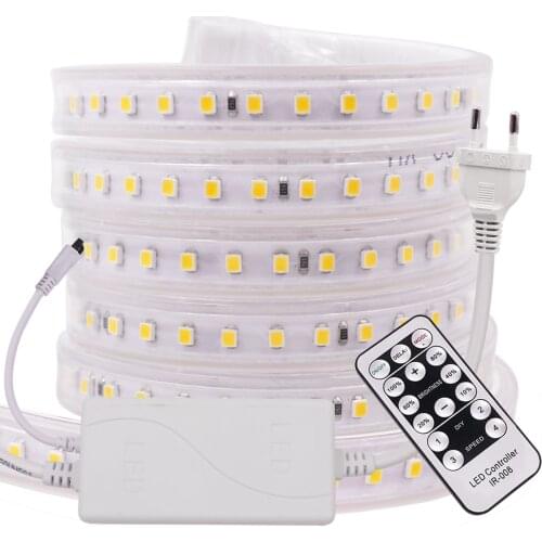 220V Led Strip Dimmable SMD2835 120Leds/m Adjustable Brightness Waterproof Led Tape Light With Remote Outdoor Flexible Light