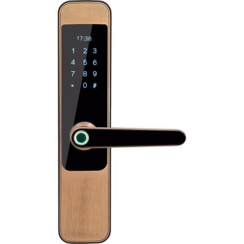 Intelligent door lock smart door lock fingerprint door lock M8 Haoyang