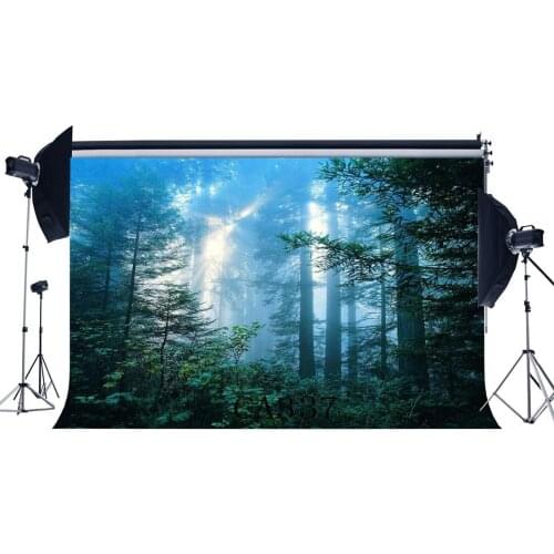 Photography Backdrops Halloween Horror Night Mysterious Forest Sunshine Masquerade Portraits Photo Background
